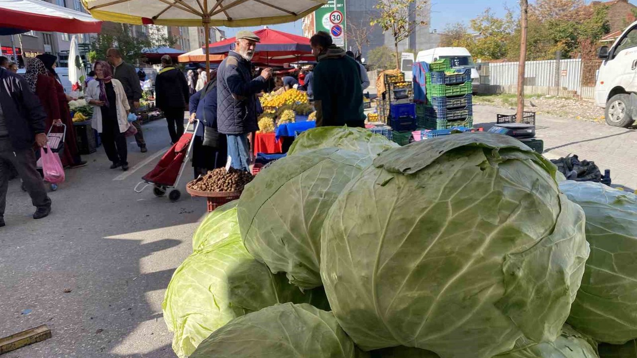Eskişehir pazarında devasa lahanalar
