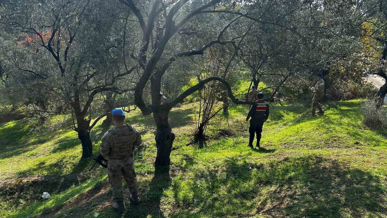 Edremit’te zeytin hırsızlığına karşı komandolar sahada
