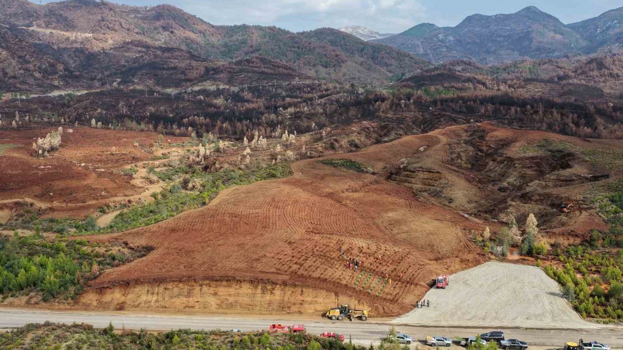 Aydın’da 17 lokasyonda fidan dikilecek
