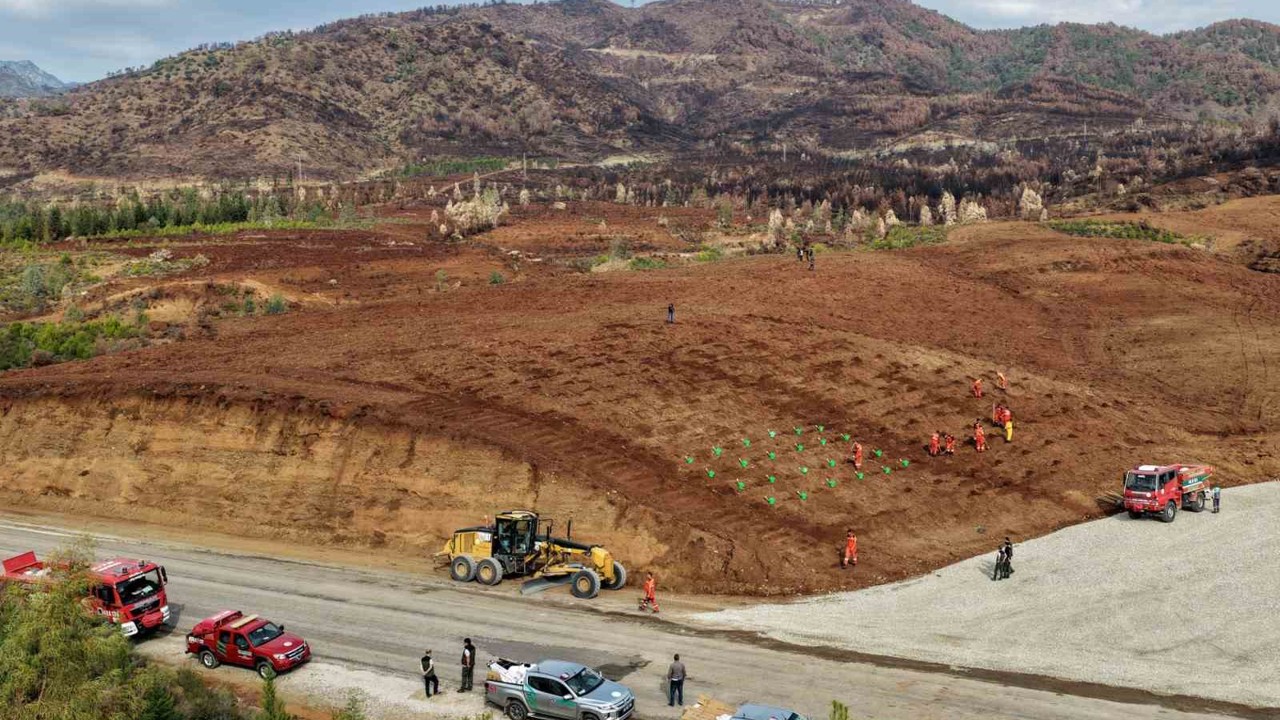 Muğla Orman Bölge Müdürlüğü ‘Yeşil Vatan’ seferberliğine hazır
