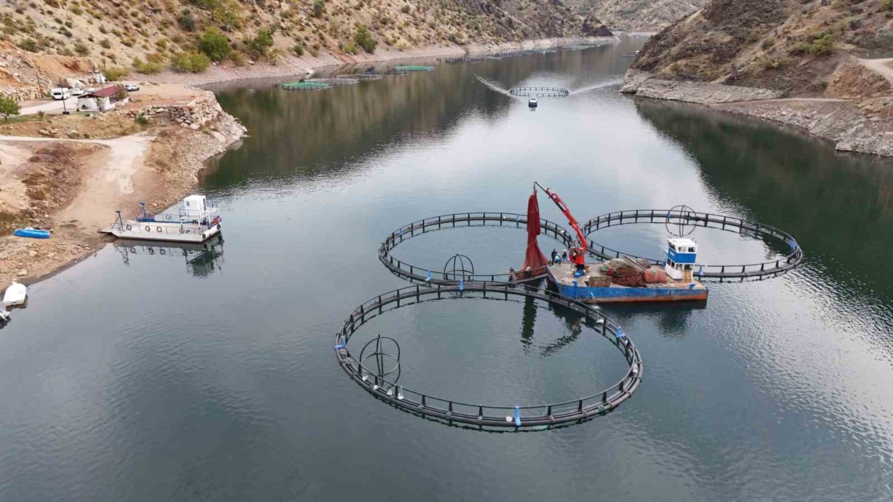 Diyarbakır’da 500 ton kapasiteli tesisten dünyaya "Mezopotamya somonu" gönderilecek
