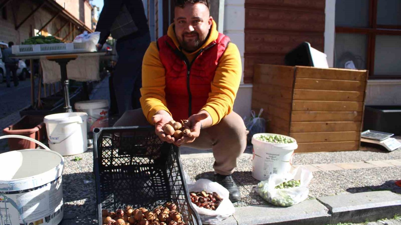 Aydın dağlarından gelen lezzet beşbıyık meyvesi tezgahlarda yerini aldı
