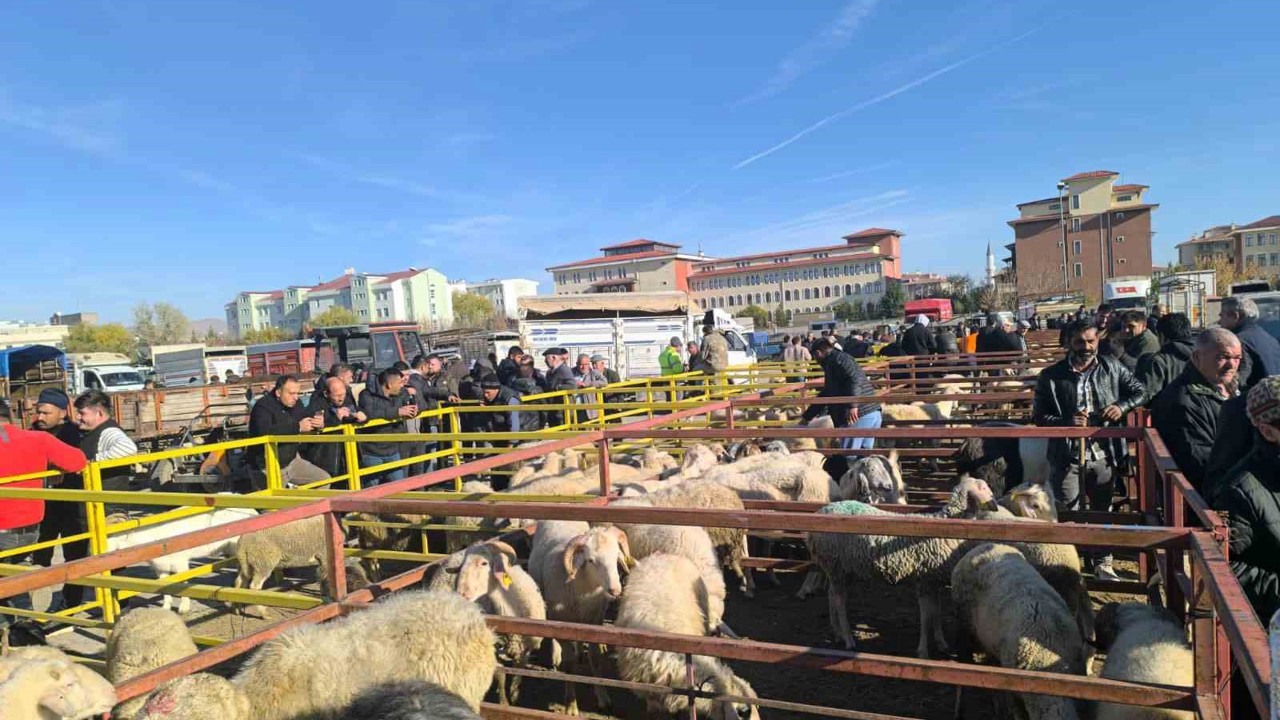 Uzun süredir kapalı olan canlı hayvan pazarı açıldı
