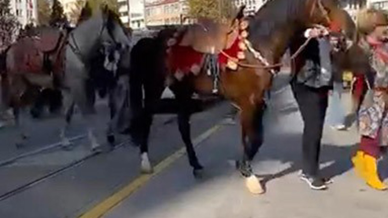 Şehir merkezinde gezdirilen atlar vatandaşları meraklandırdı
