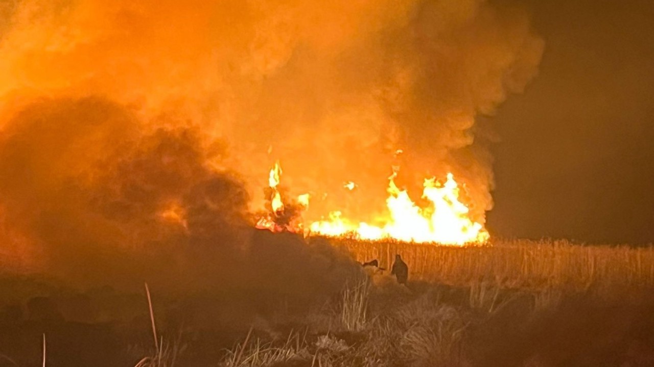 Hakkari’de kuş cennetinde yangın

