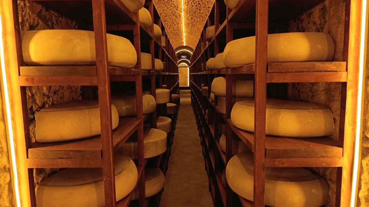 Kars Peynir Müzesi yoğun ilgi görüyor
