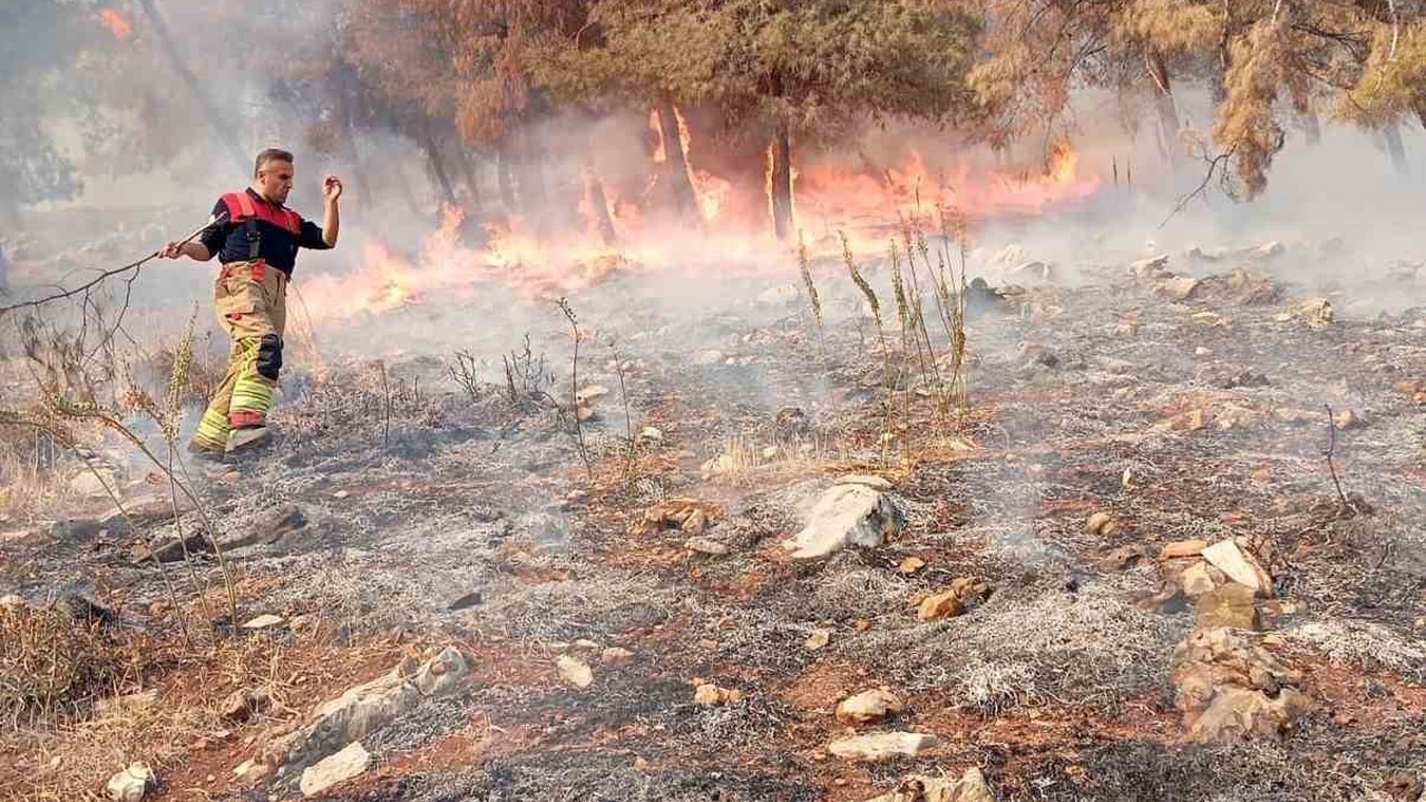 Antakya’da orman yangını
