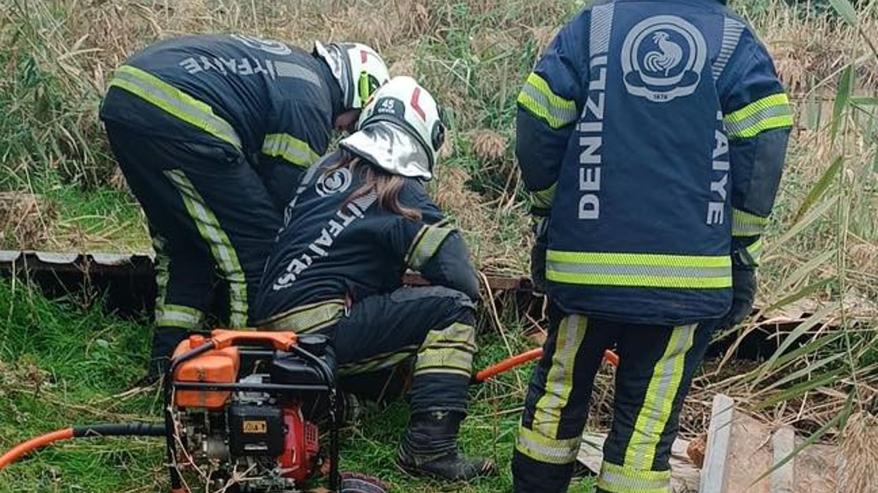 Fosseptik çukuruna düşen köpek kurtarıldı
