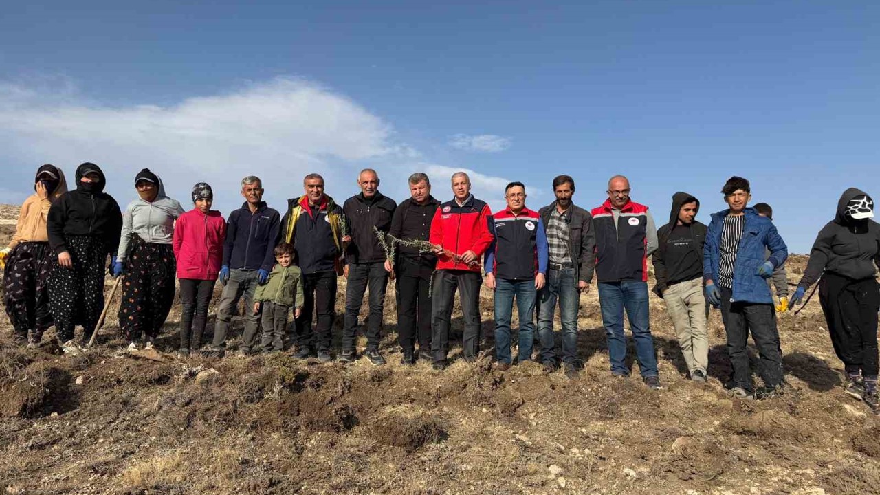 Sivas’ta meralar on binlerce tuz çalısı ile yeşerecek
