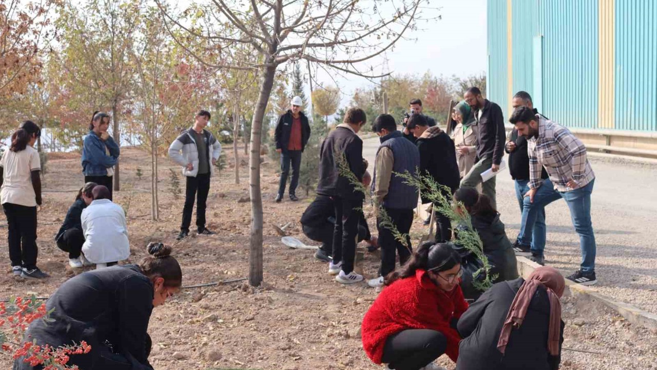 Elazığ’da ‘Yeşil Vatan Seferberliği’ne anlamlı destek
