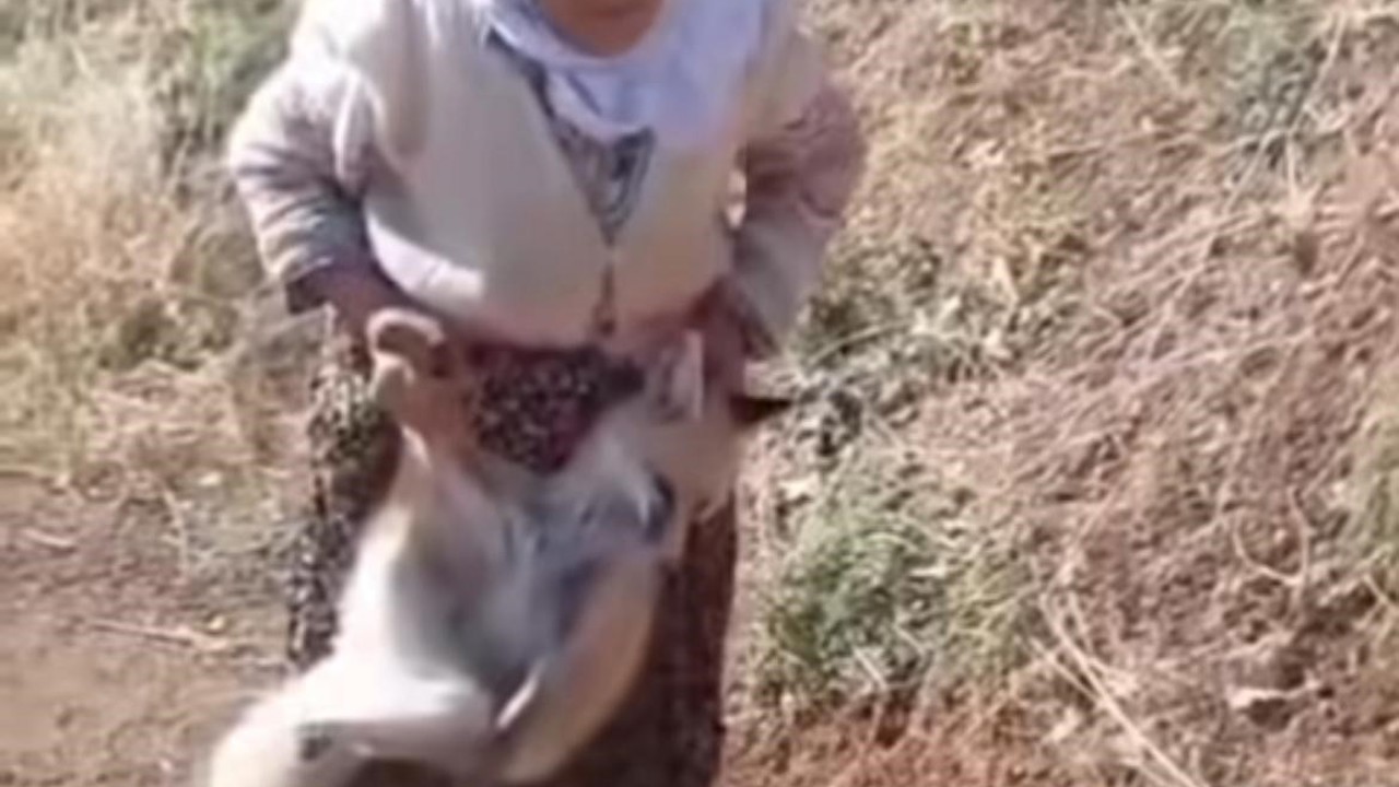 Sason’un cesur ninesi Tayyibe Nine hayatını kaybetti
