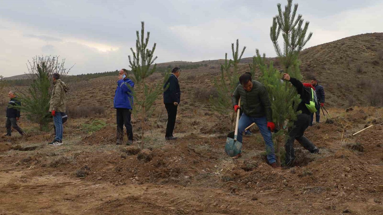 Sivas’ta 58 bin fidan toprakla buluşturuldu
