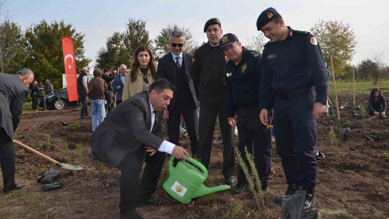 Bafra’da 8 bin fidan toprakla buluştu

