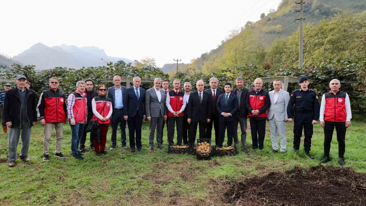 Tescilli Ordu kivisinde hasat başladı: İlin ekonomisine 520 milyon TL katkı
