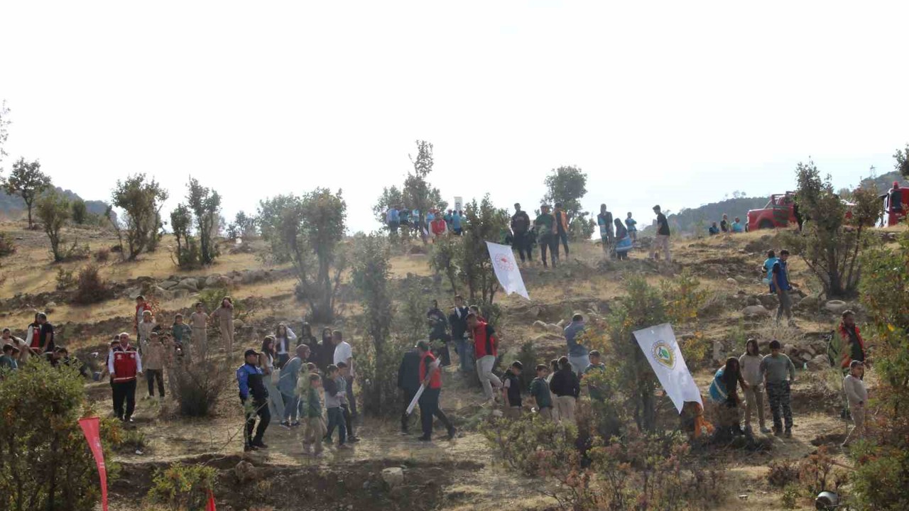 Şırnak’ta "Adliye Hatıra Ormanı" kuruldu
