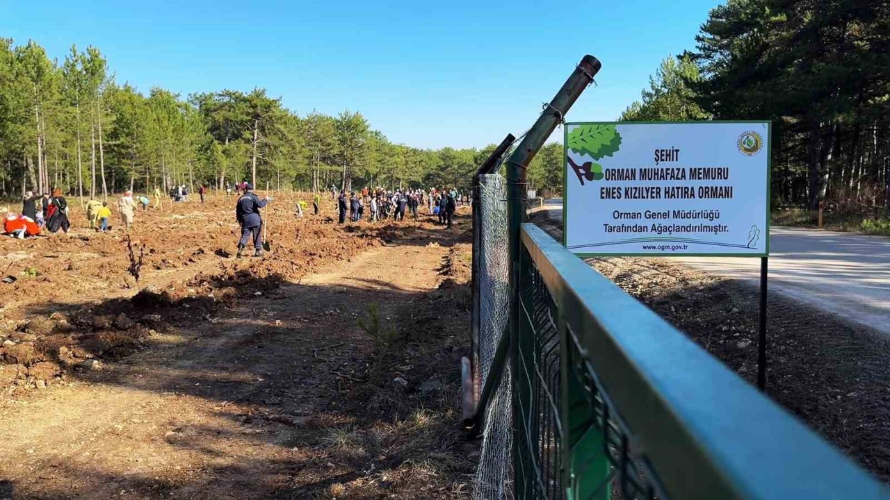 Şehit orman işçisi Enes Kızılyer anısına çeşme açılışı ve fidan dikimi yapıldı
