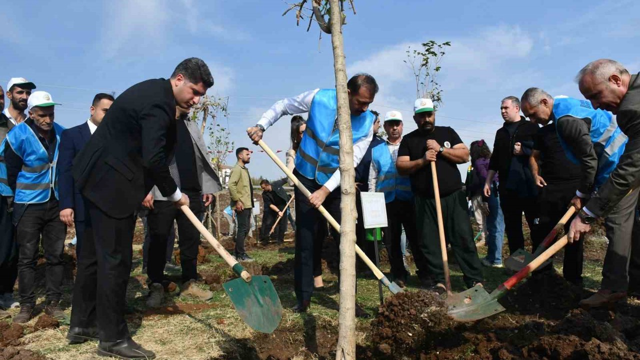 Siverek’te fidanlar geleceğe nefes olacak
