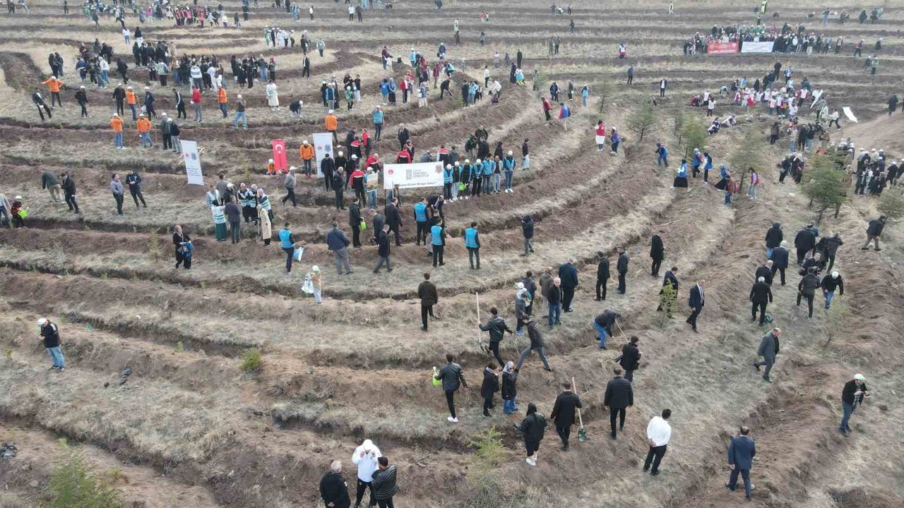 Çorum’da binlerce fidan toprakla buluşturuldu
