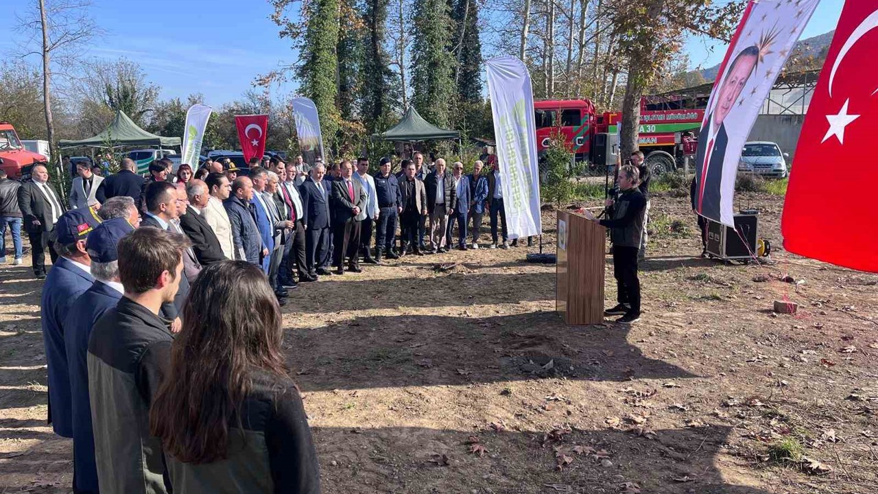 Devrek’te fidan dikim programı
