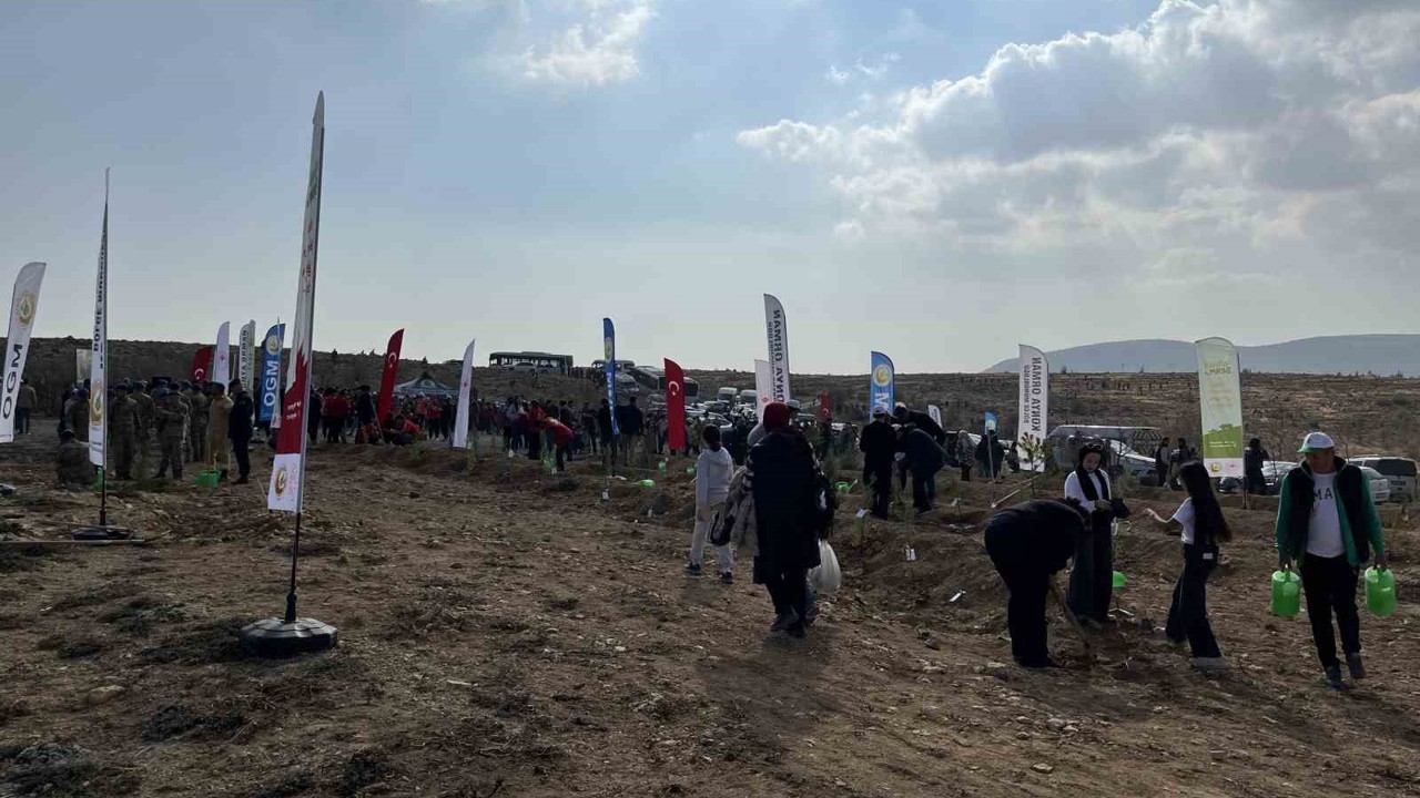 Konya’da 33 bin 811 fidan toprakla buluştu
