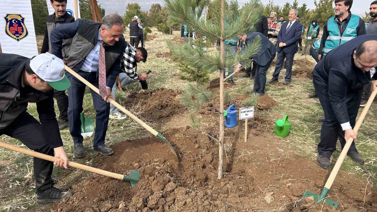 Bingöl’de 25 bin fidan toprakla buluştu
