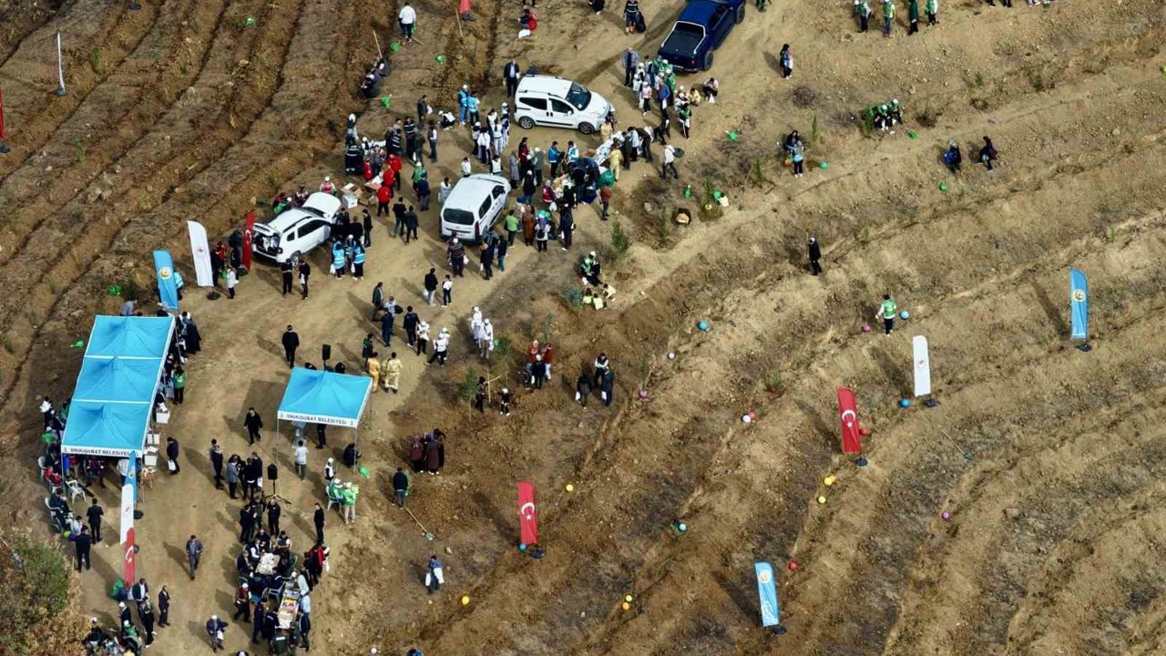 Kahramanmaraş’ta yanan alanlara fidanlar dikildi
