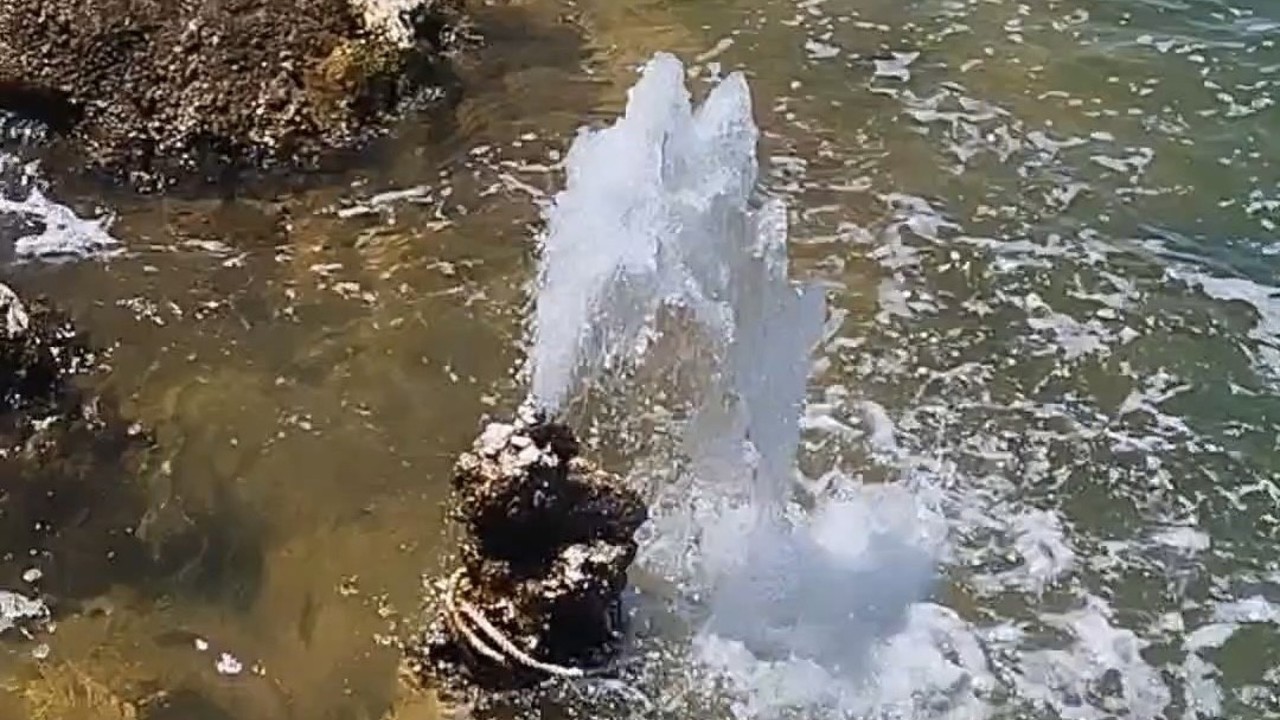 Van Gölü’nde şaşırtan görüntü: Mikrobiyalitten tatlı su fışkırdı
