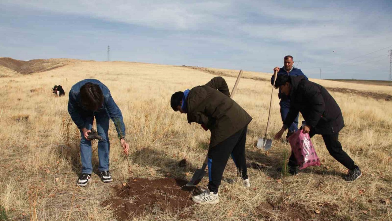 Ahlat’ta "Maziden Atiye" programı kapsamında öğrenciler fidan dikti
