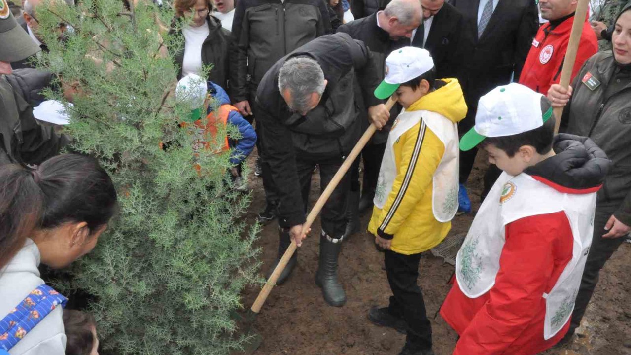 Keşan’da yangından zarar gören ormanlık alana 2 bin çam fidanı dikildi
