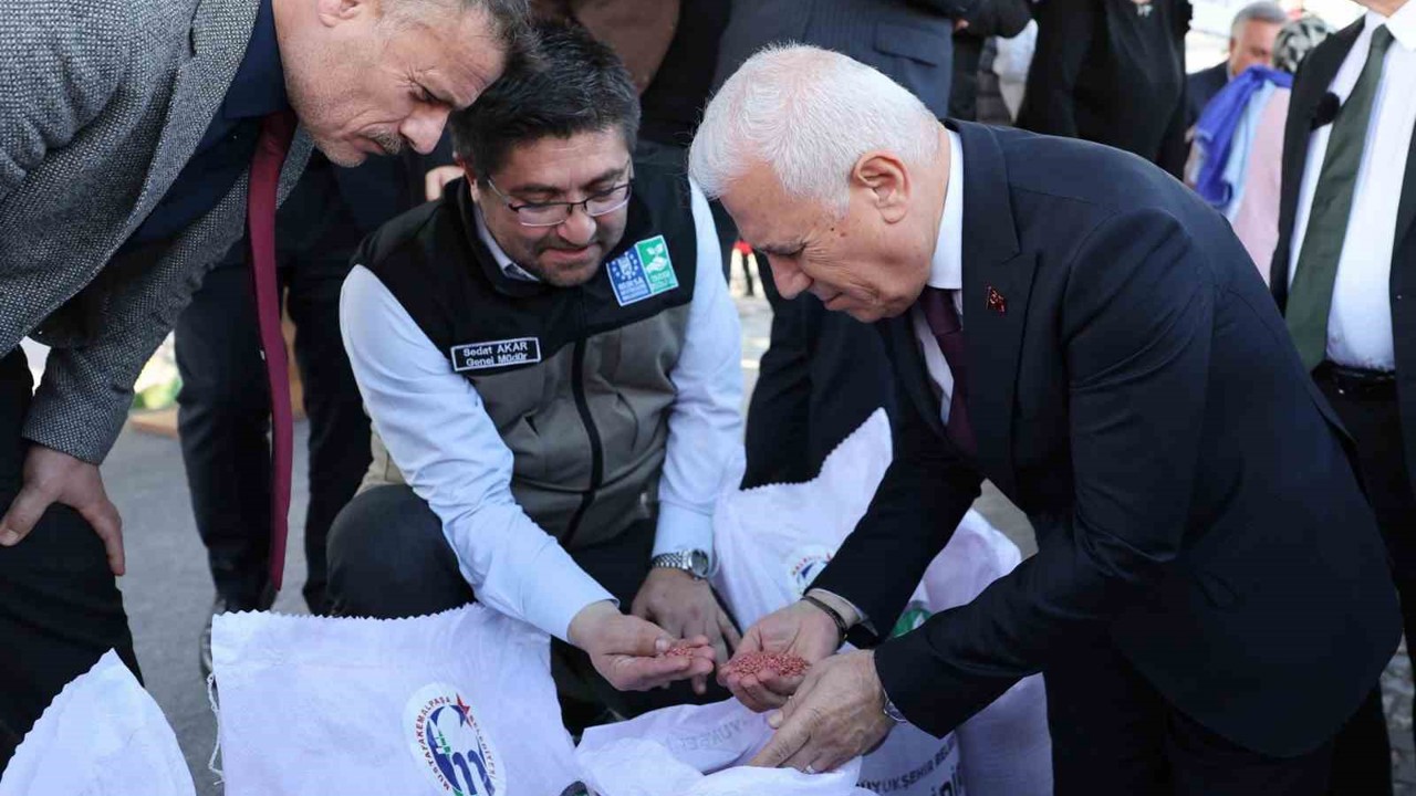 Bursalı çiftçinin yüzü gülüyor
