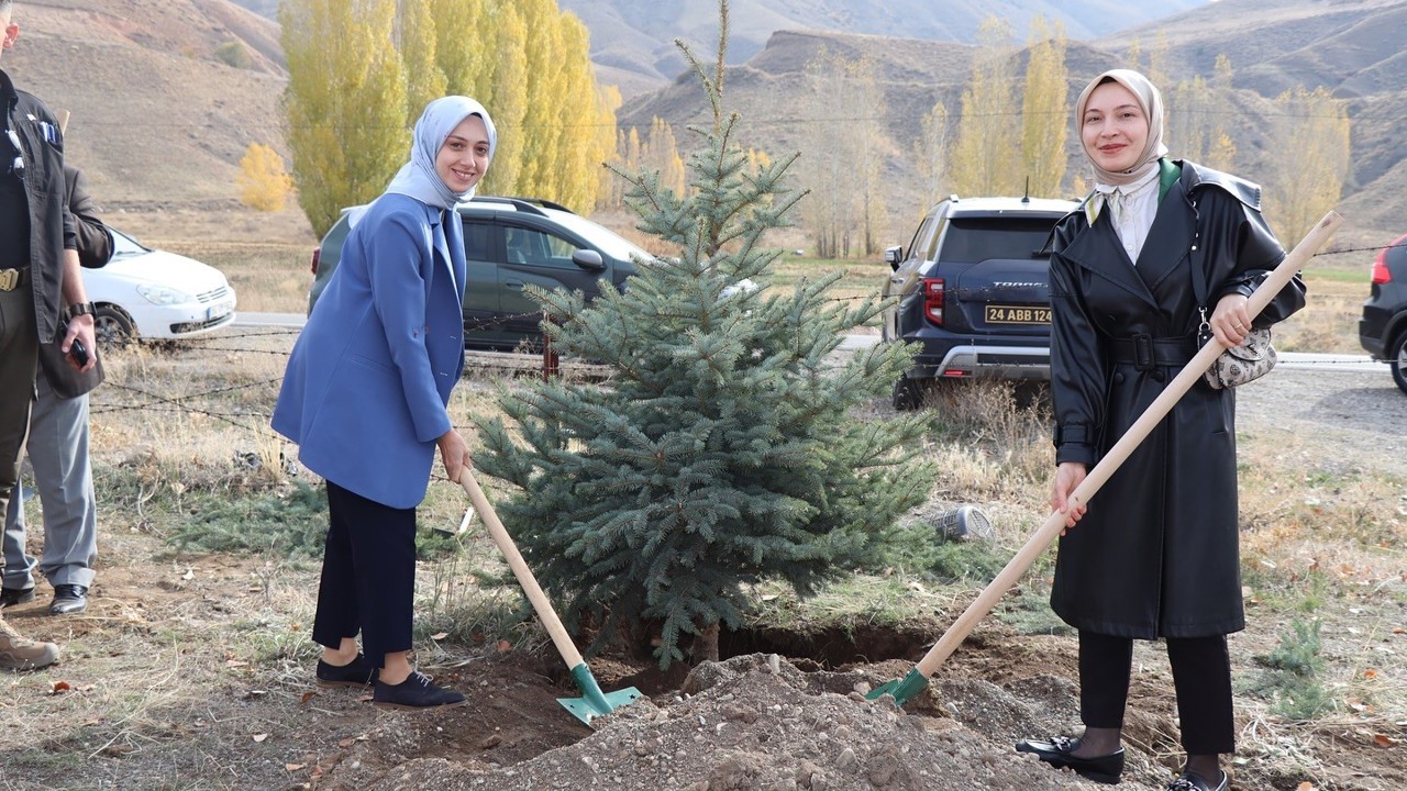 Tercan’da fidanlar toprakla buluştu
