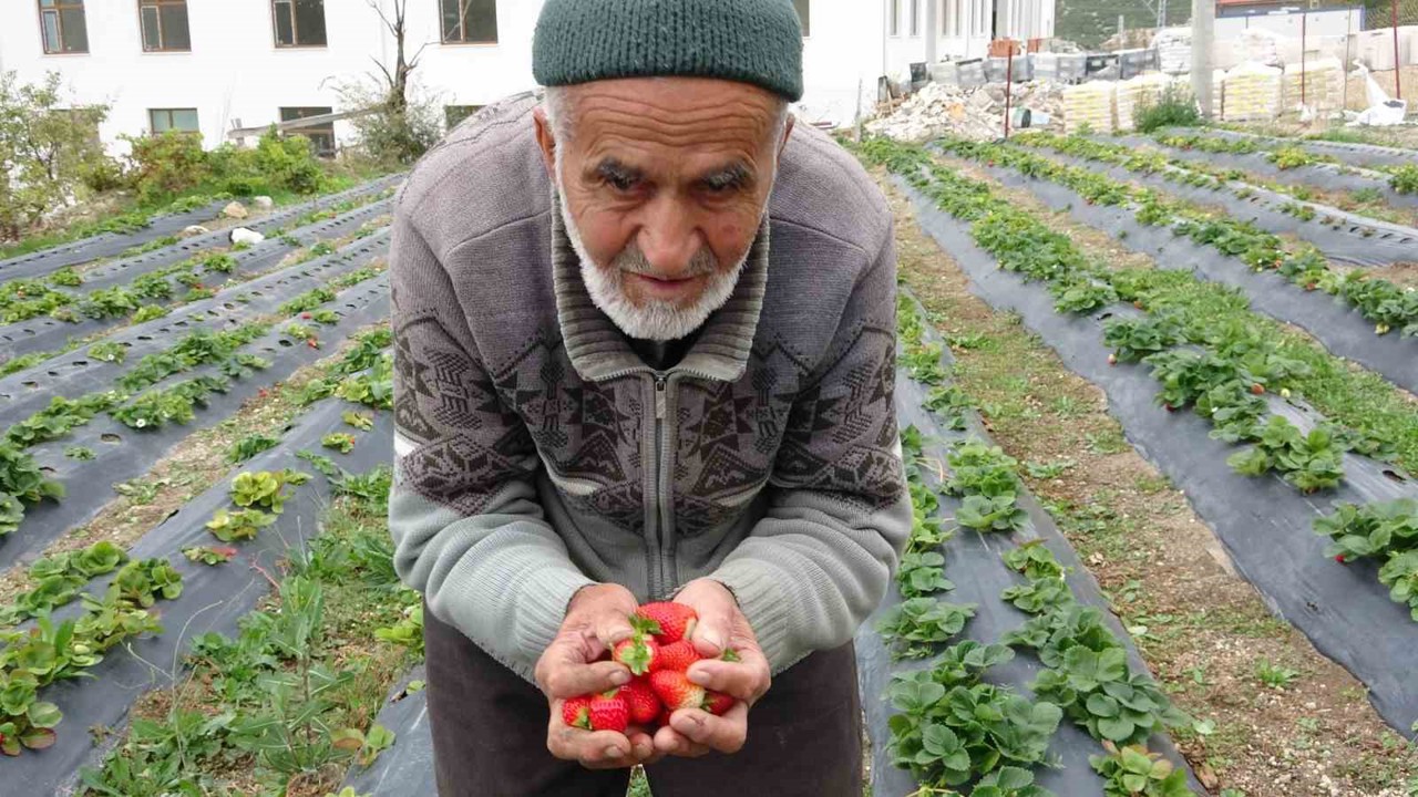 85 yaşındaki İbrahim dede "Hayır Bahçesi"nde yetiştirdiği meyve ve sebzeleri ücretsiz ikram ediyor
