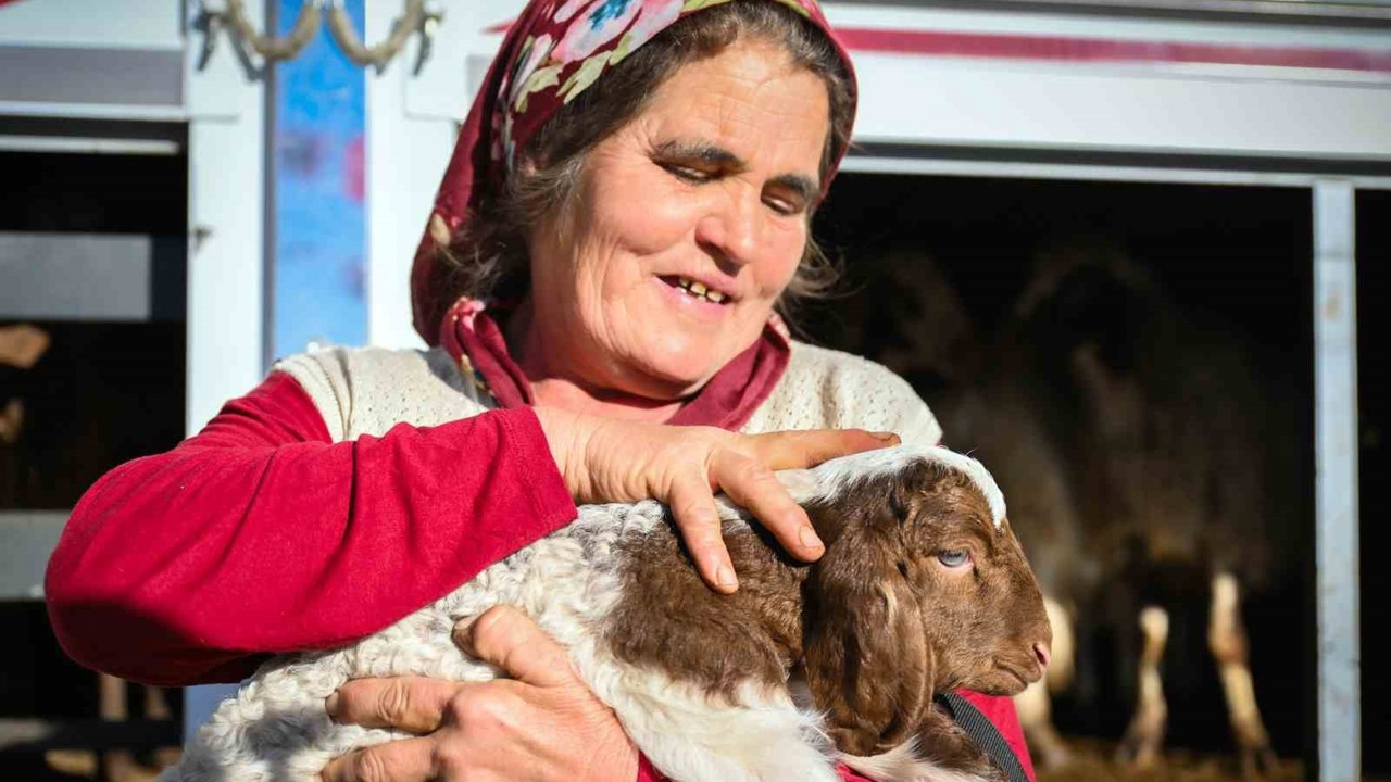 Mersin’de yem ve küçükbaş desteği üreticiyi güçlendiriyor
