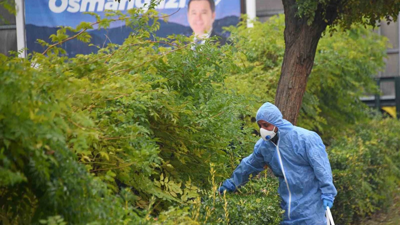 Osmangazi’de kemirgenlere karşı ilaçlama çalışması başlatıldı
