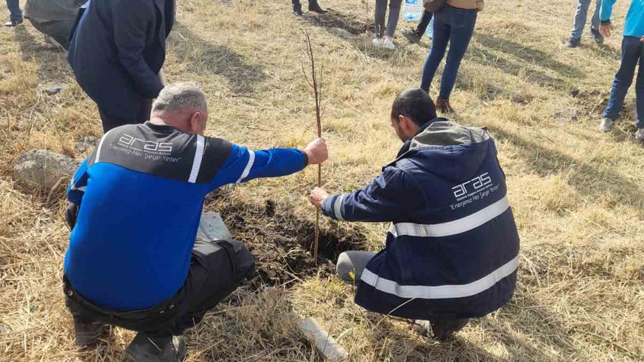 Aras EDAŞ, Milli Ağaçlandırma Günü’nde geleceğe nefes oldu
