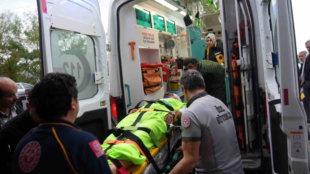 Mantar toplarken ayının saldırısına uğrayan imam yaralandı
