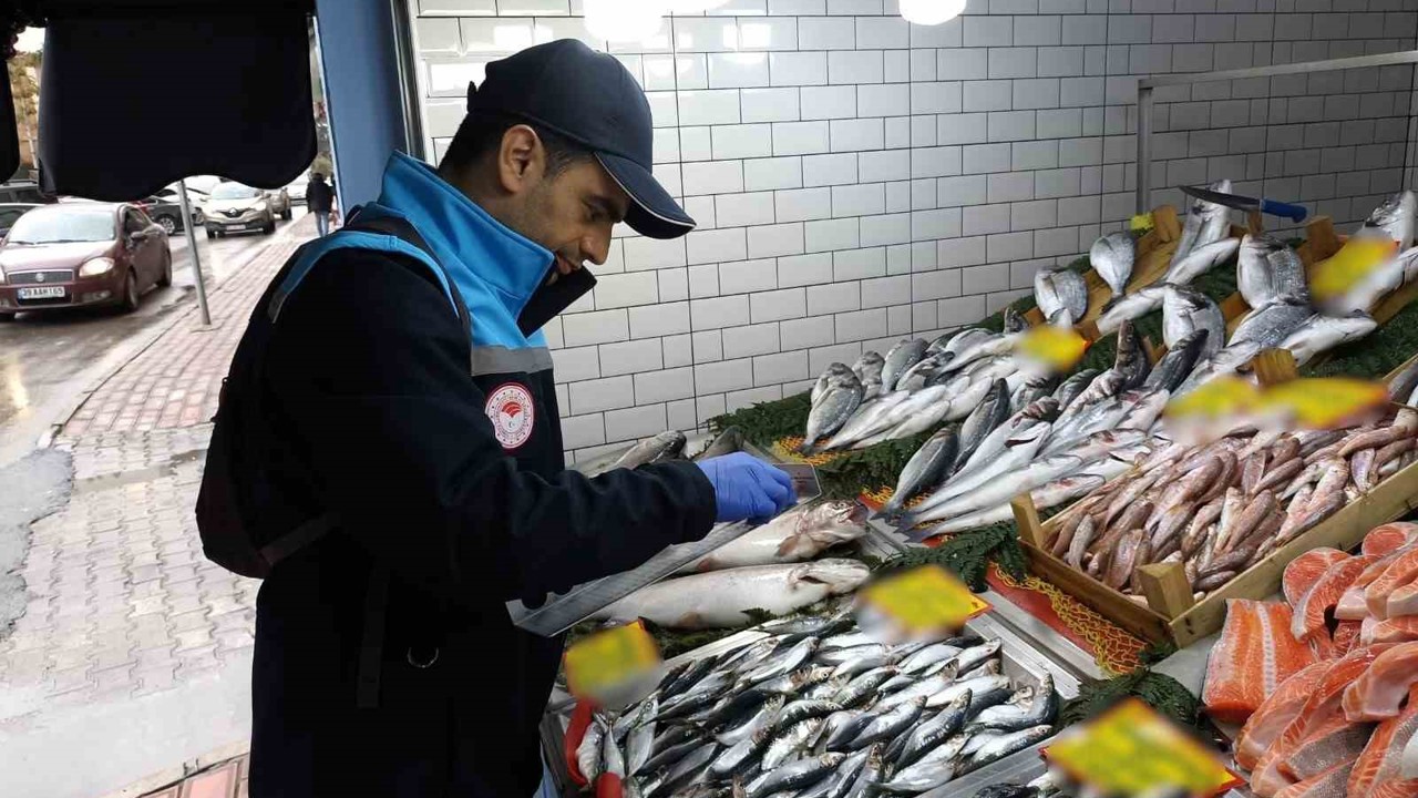 Kırklareli’nde su ürünleri denetimi
