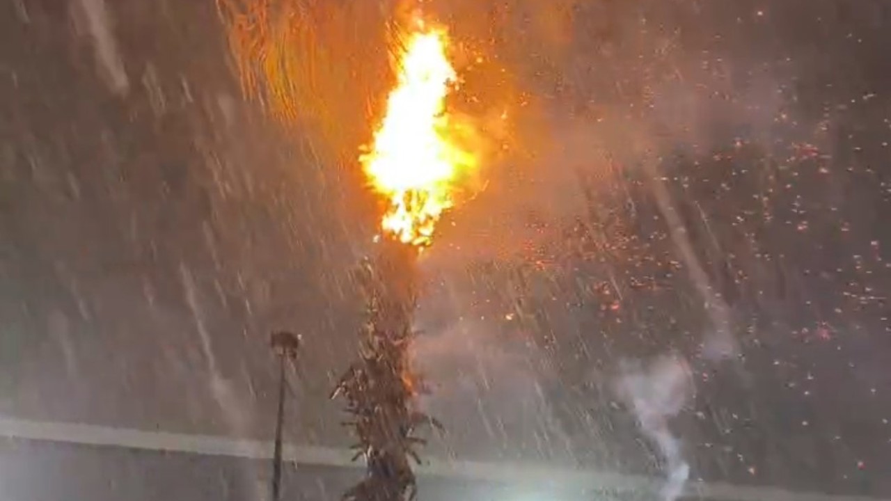 Adana’da düşen yıldırımlar yangına neden oldu
