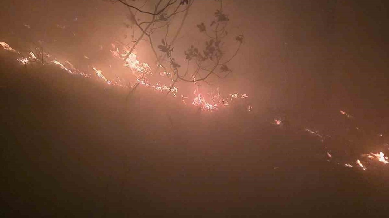 Hatay’da yıldırımın düştüğü ormanlık alanda yangın çıktı
