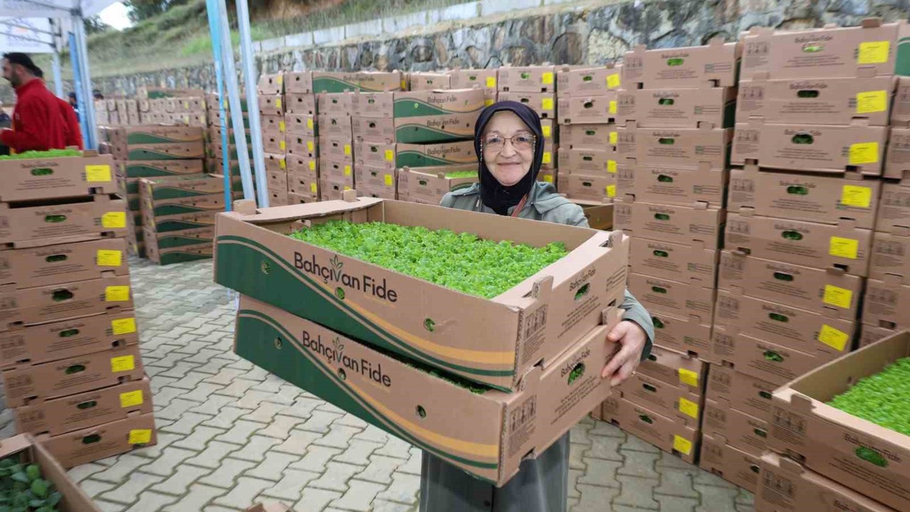 Gebzeli çiftçiye 500 bin sebze fidesi
