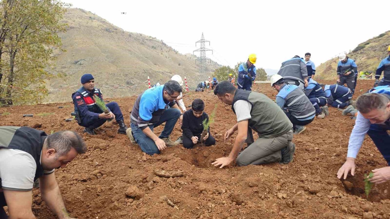 Eti Bakır’dan ağaçlandırma seferberliği
