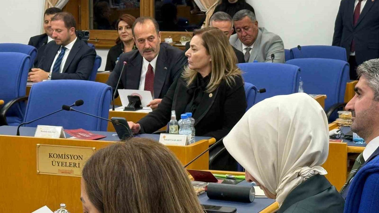 Tamer Osmanağaoğlu’ndan bütçe görüşmelerinde Aliağa vurgusu
