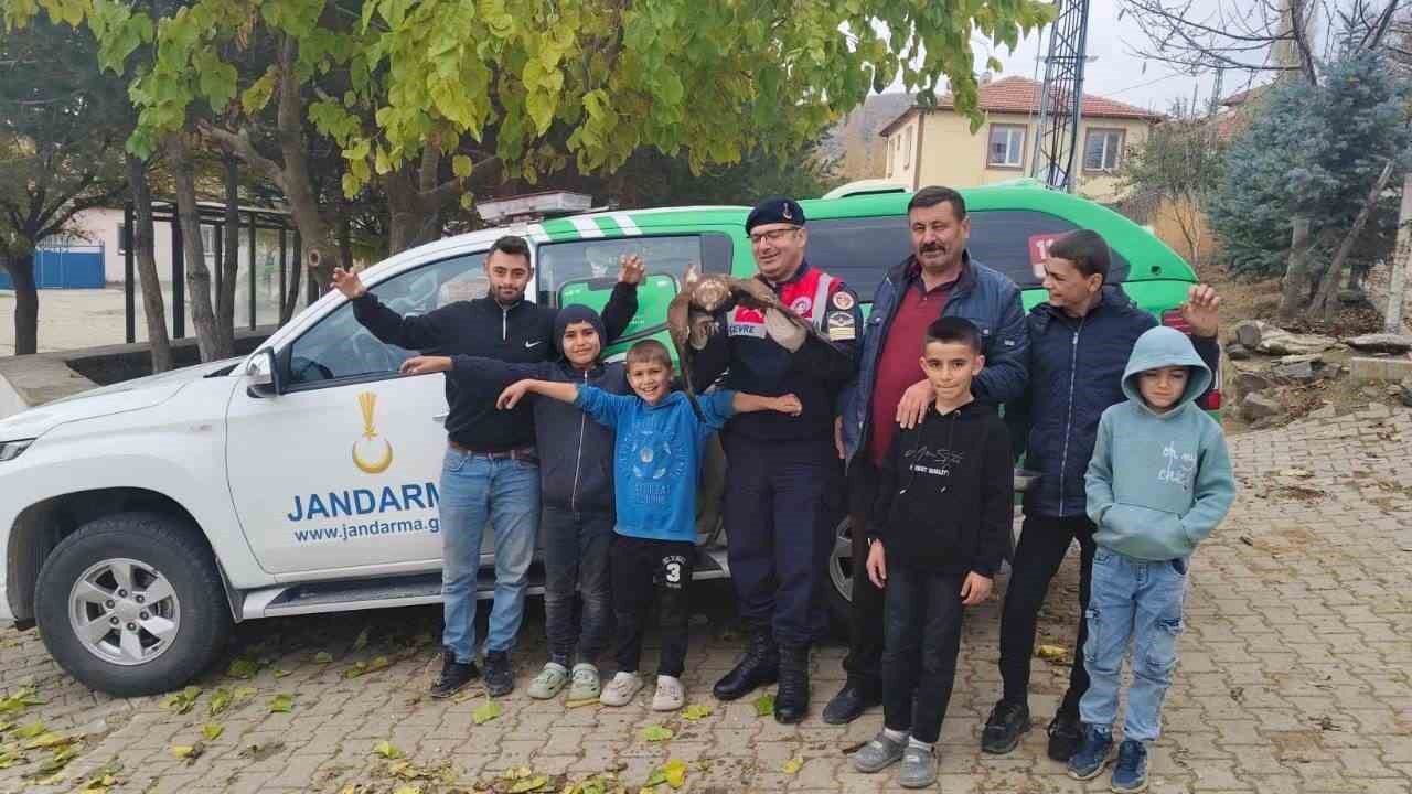 Yozgat’ta bulunan yaralı kızıl şahin çocukların ilgi odağı oldu
