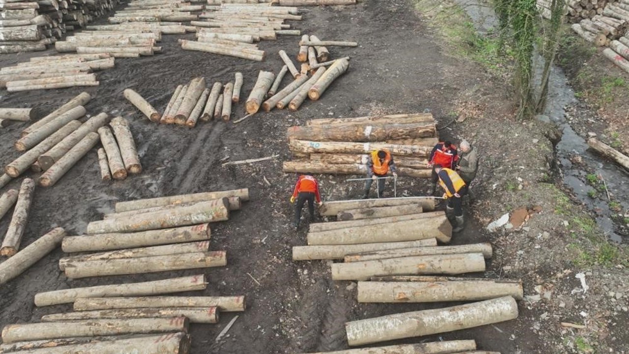 Düzce’de orman ürünü ihracatı geçen yılı geçti
