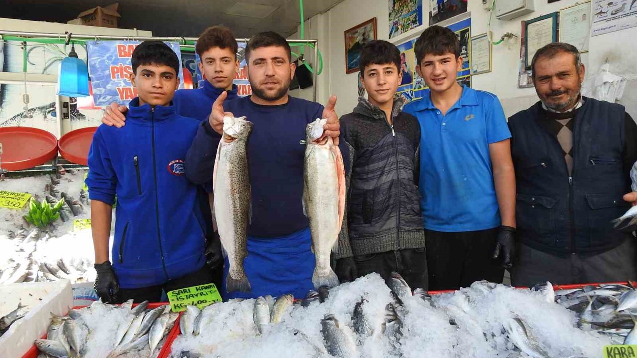 Karadeniz’deki bolluk balık fiyatlarını düşürdü: Kilis’te hamsi 100 liraya indi
