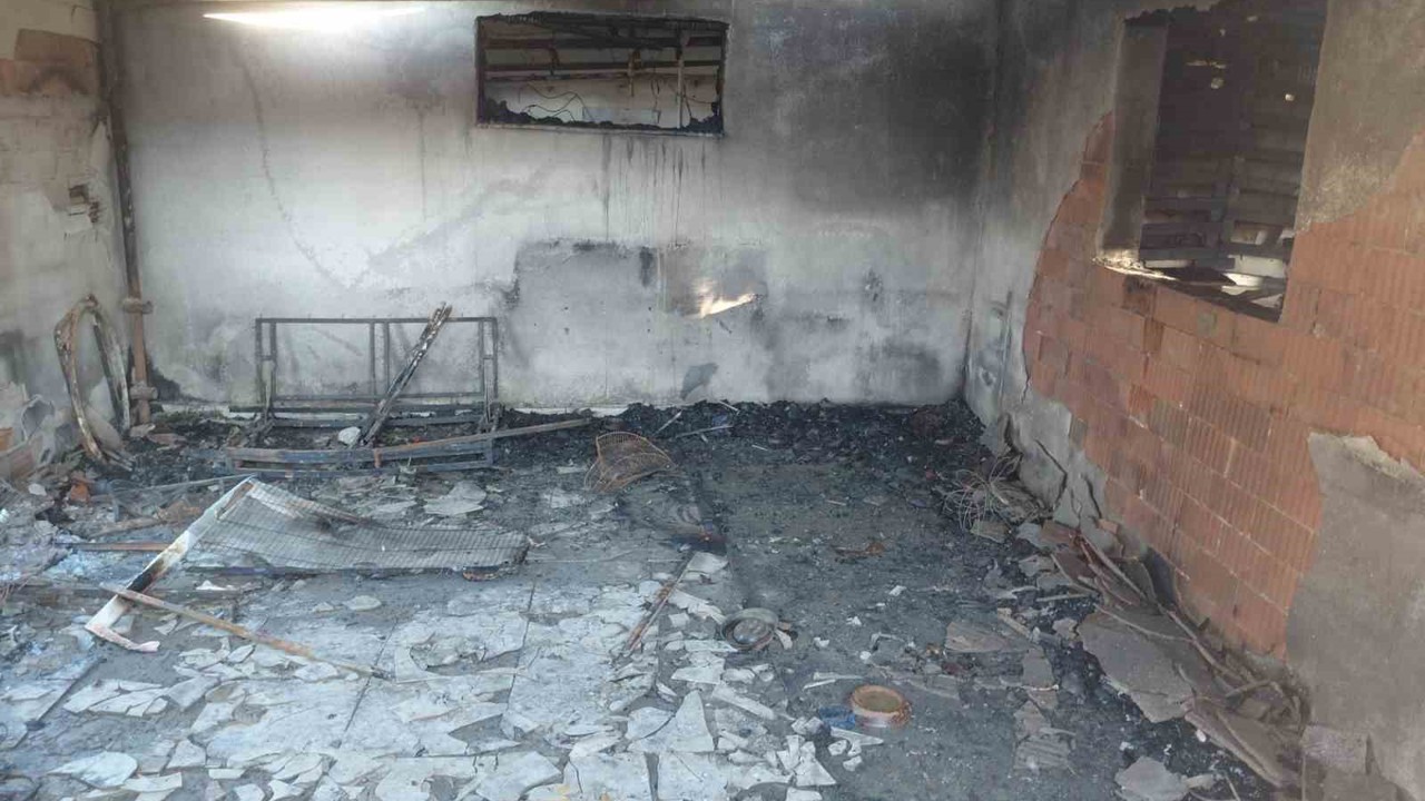 Evde çıkan yangında hayatını kaybetti, 20’den fazla kedi de telef oldu
