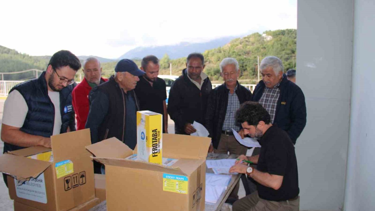 Organik tarıma mavi ve sarı yapışkan tuzak desteği
