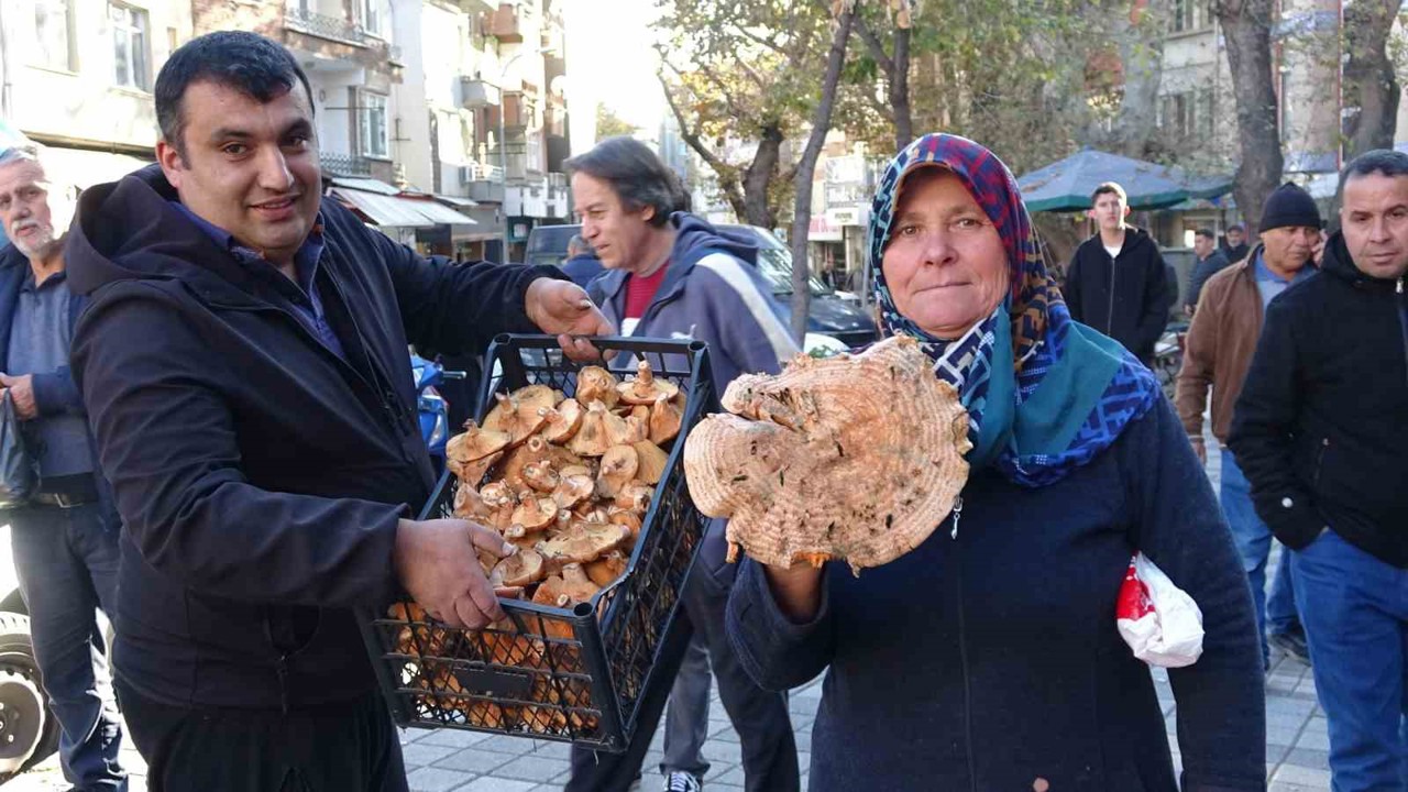 Kütahya’da melki mantarı çoğaldı, fiyatlar düştü
