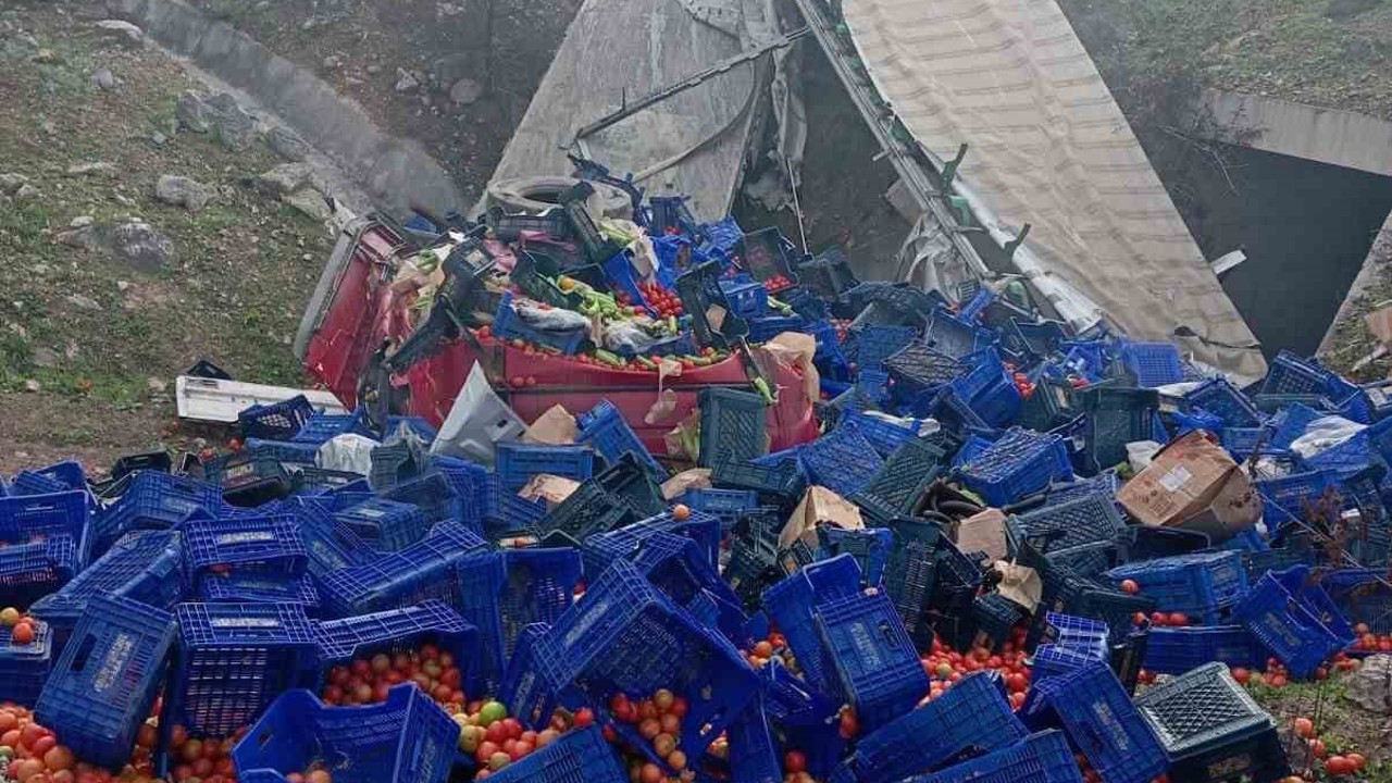 Kontrolden çıkan sebze yüklü tır devrildi: 1 yaralı
