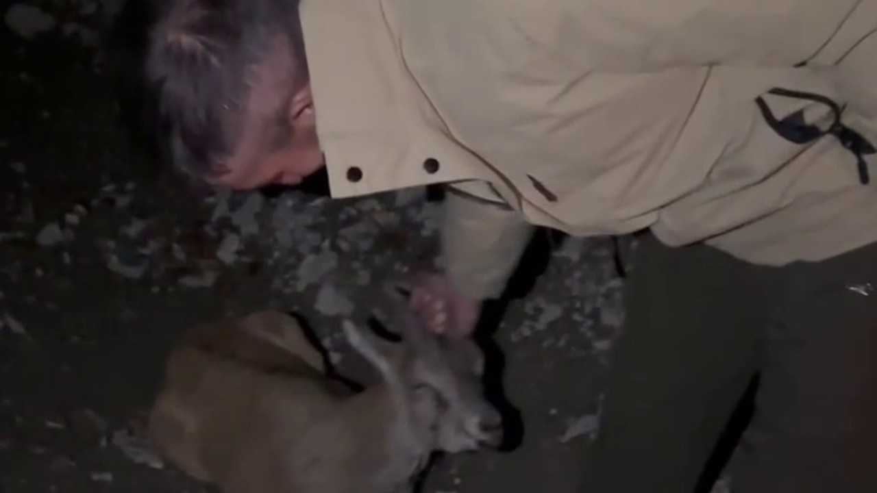 Duyarlı gençlerden örnek davranış
